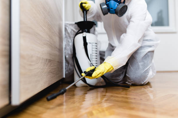 Best Best Pest Control Companies  in Poulsbo, WA