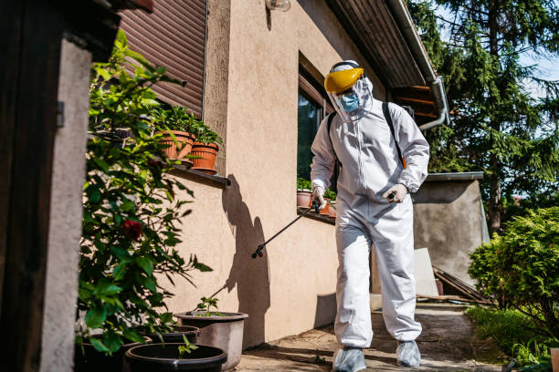 Wasp Removal Services in Poulsbo, WA
