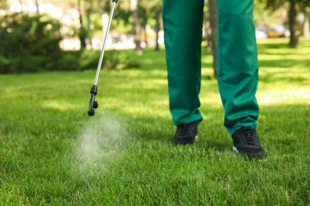 Best Residential Pest Control  in Poulsbo, WA
