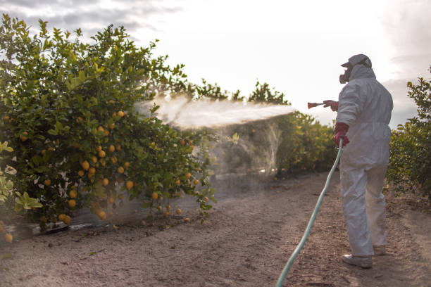 Best Exterminator Services  in Poulsbo, WA