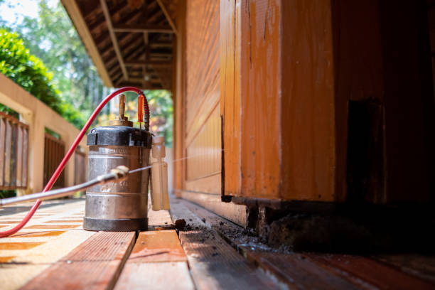 Best Pest Control Near Me  in Poulsbo, WA