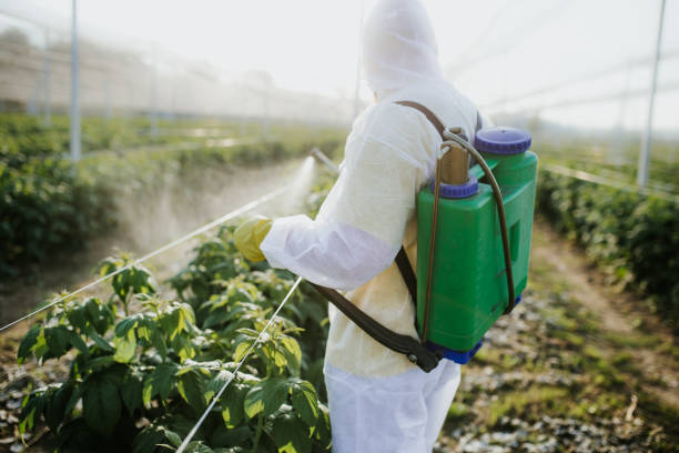 Best Wasp Removal Services  in Poulsbo, WA